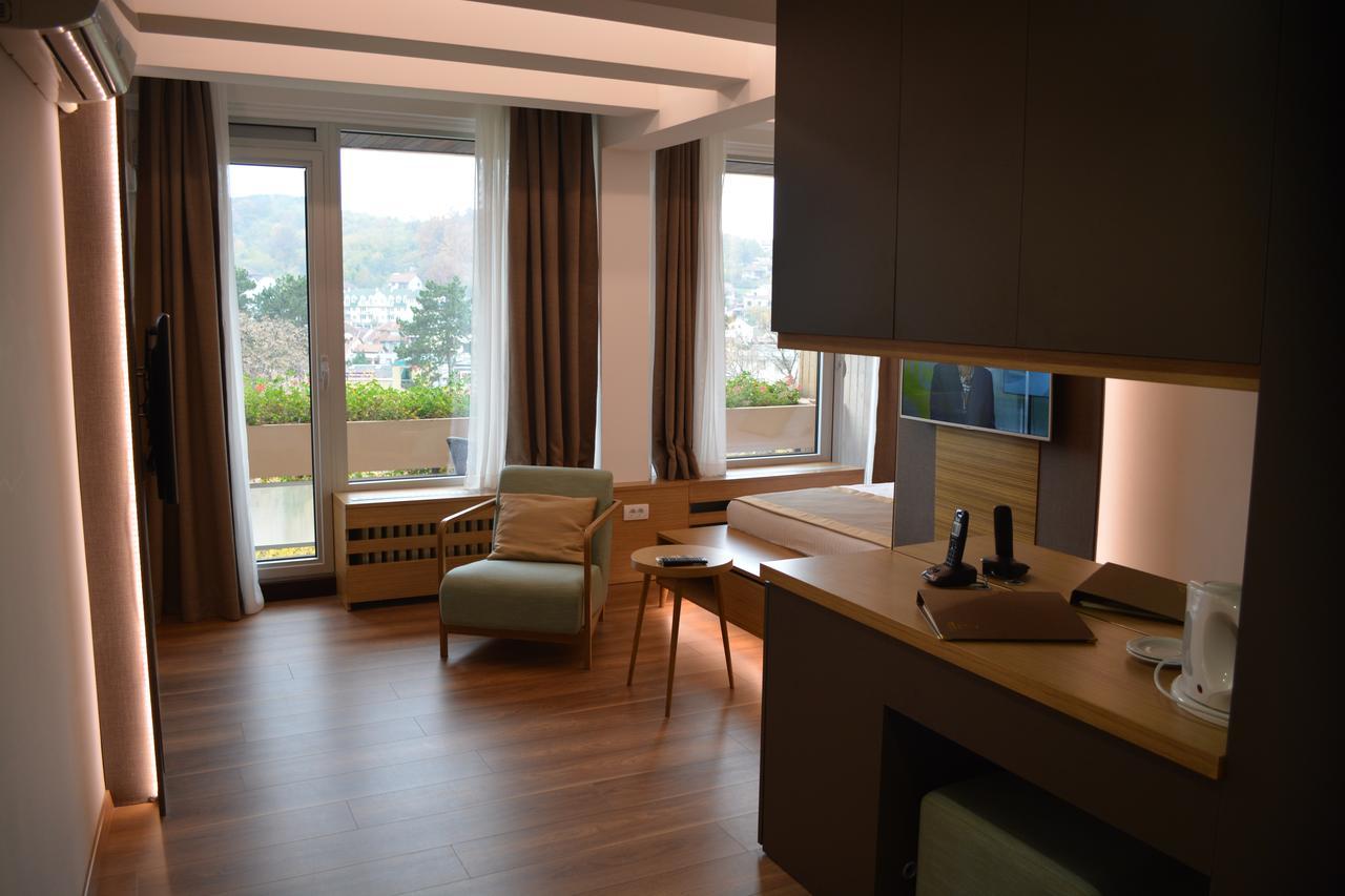 Medical&Spa Centre Merkur Vrnjačka Banja Cameră foto